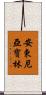Antonia Pauline Scroll