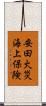 安田火災海上保険 Scroll