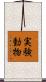 実験動物 Scroll