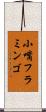 小嘴フラミンゴ Scroll
