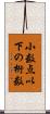 小数点以下の桁数 Scroll