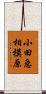 小田急相模原 Scroll