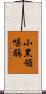 小黑領噪鶥 Scroll