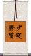 少突膠質 Scroll