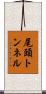尾頭トンネル Scroll