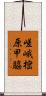 嵯峨樒原甲脇 Scroll