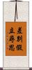 差別假立尋思 Scroll