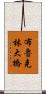 布魯克林大橋 Scroll