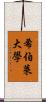 希伯萊大學 Scroll