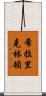 希拉里·克林頓 Scroll