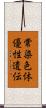 常染色体優性遺伝 Scroll