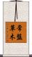 常盤草木 Scroll