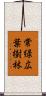 常緑広葉樹林 Scroll