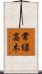 常緑高木 Scroll