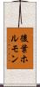 後葉ホルモン Scroll