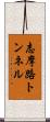 志摩路トンネル Scroll