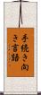手続き向き言語 Scroll