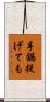 手鍋提げても Scroll