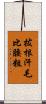 拔根汗毛比腰粗 Scroll
