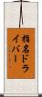 指名ドライバー Scroll