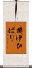 揚げひばり Scroll