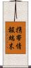 携帯情報端末 Scroll