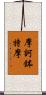 摩訶鉢特摩 Scroll