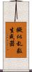 擬似乱数生成器 Scroll