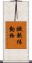 擬軟体動物 Scroll