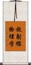 放射線物理学 Scroll