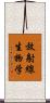 放射線生物学 Scroll