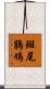 斑尾鵑鳩 Scroll