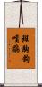 斑胸鉤嘴鶥 Scroll