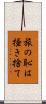 旅の恥は掻き捨て Scroll