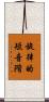 旋律的短音階 Scroll