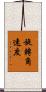 旋轉角速度 Scroll