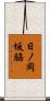 日ノ岡坂脇 Scroll
