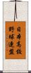 日本高校野球連盟 Scroll