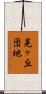 晃ヶ丘団地 Scroll