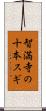 智満寺の十本スギ Scroll