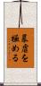 暴虐を極める Scroll