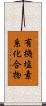 有機塩素系化合物 Scroll