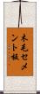 木毛セメント板 Scroll