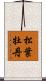 松葉牡丹 Scroll