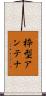 枠型アンテナ Scroll