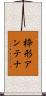 枠形アンテナ Scroll