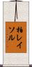 柏レイソル Scroll