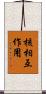 核相互作用 Scroll