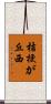 桔梗が丘西 Scroll