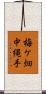 梅ケ畑中縄手 Scroll